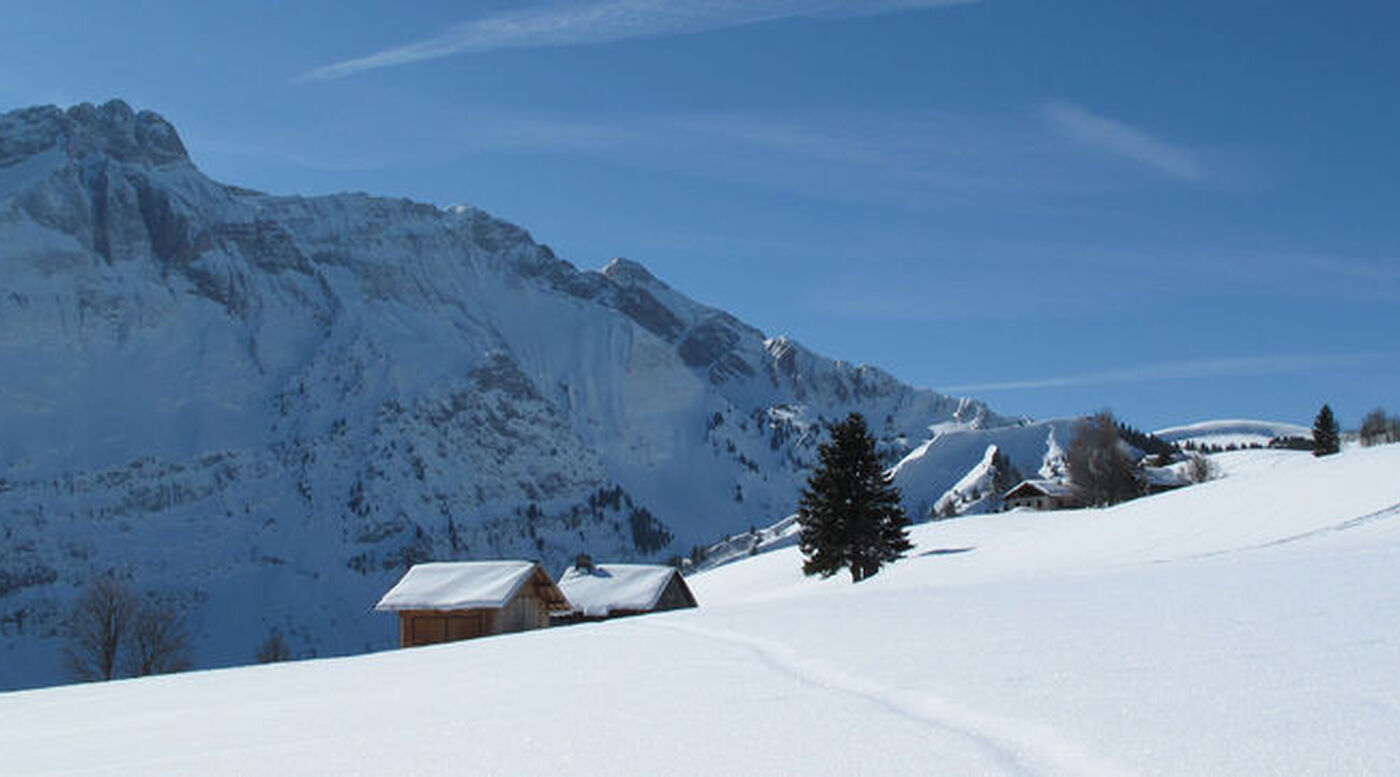Emilie Micard - Accompagnateur en montagne