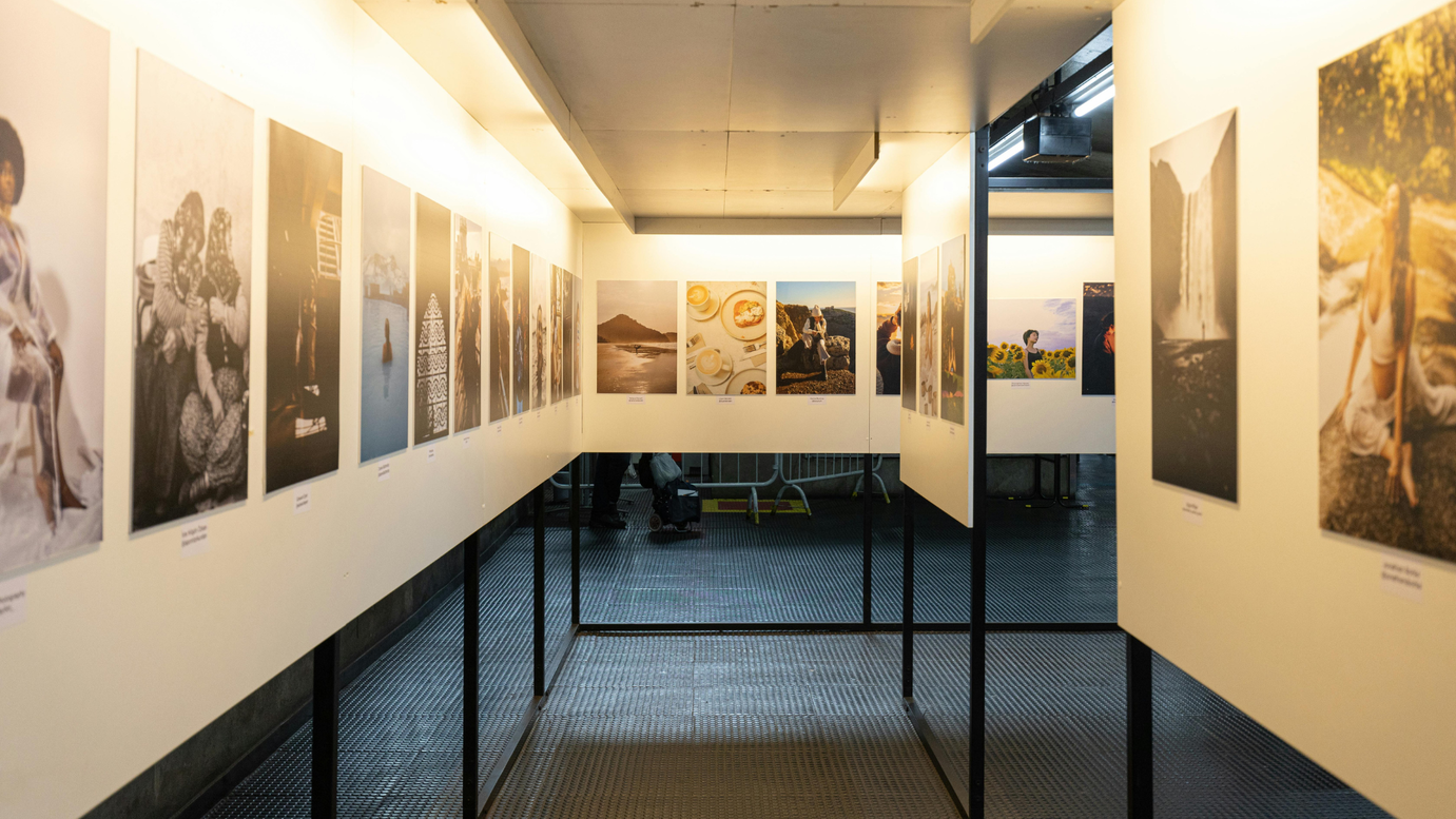 Exposition - Dans mon jardin, il y a..._Bonneville