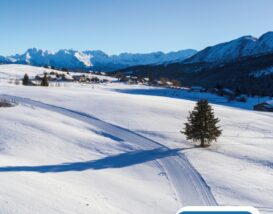L'Actu JANVIER-FÉVRIER 2026