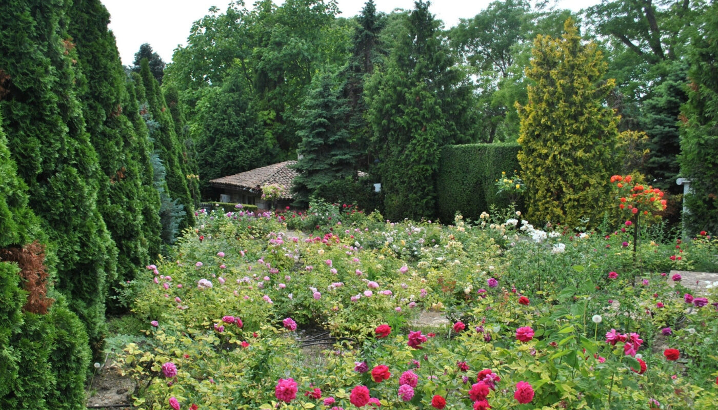 Rendez-vous aux jardins visuels 2026 (2)
